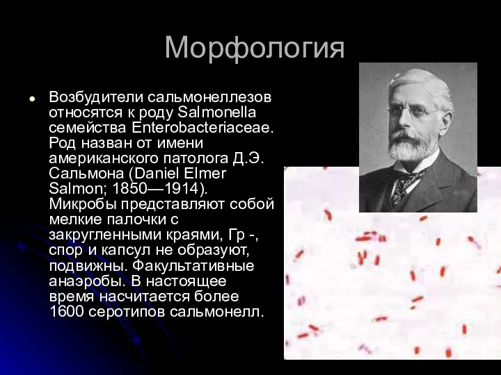 Морфология Возбудители сальмонеллезов относятся к роду Salmonella семейства Enterobacteriacеae. Род