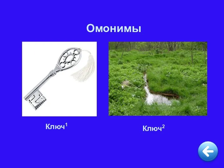 Омонимы Ключ1 Ключ2