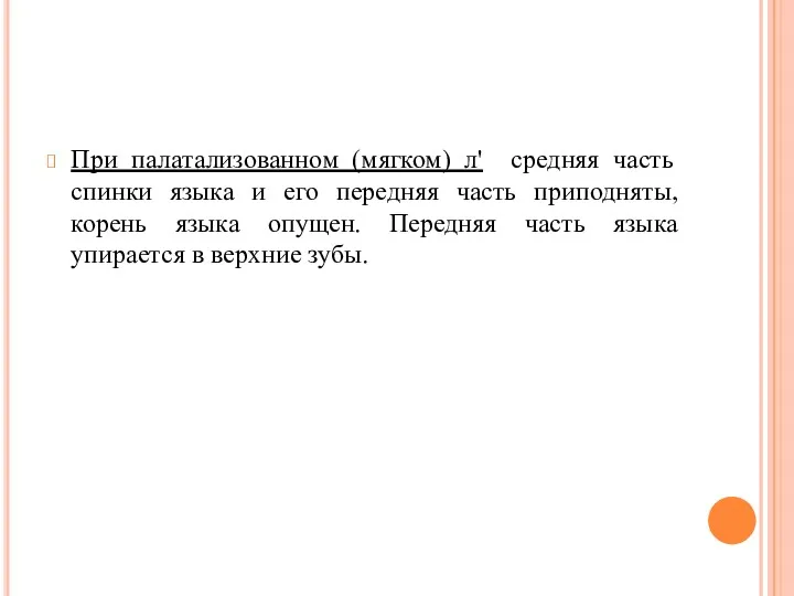 При палатализованном (мягком) л' средняя часть спинки языка и его