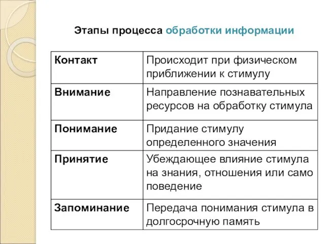 Этапы процесса обработки информации