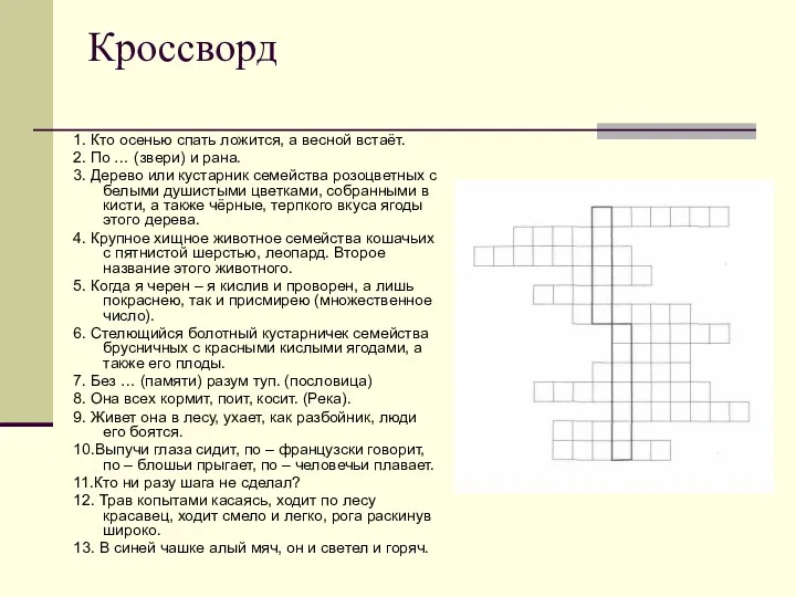 Кроссворд 1. Кто осенью спать ложится, а весной встаёт. 2.