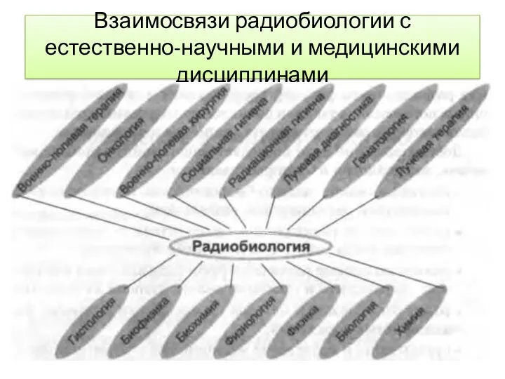 Взаимосвязи радиобиологии с естественно-научными и медицинскими дисциплинами