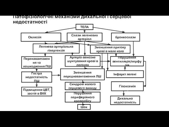 Патофізіологічні механізми дихальної і серцевої недостатності ТЕЛА Оклюзія гілок ЛА