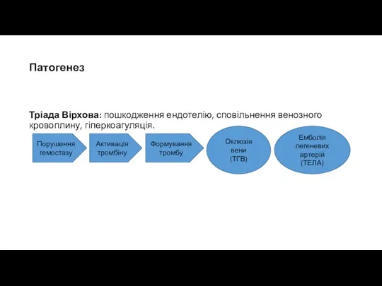 Патогенез Тріада Вірхова: пошкодження ендотелію, сповільнення венозного кровоплину, гіперкоагуляція. Порушення