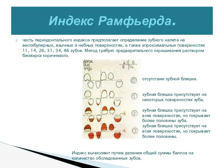 часть периодонтального индекса предполагает определение зубного налета на вестибулярных, язычных