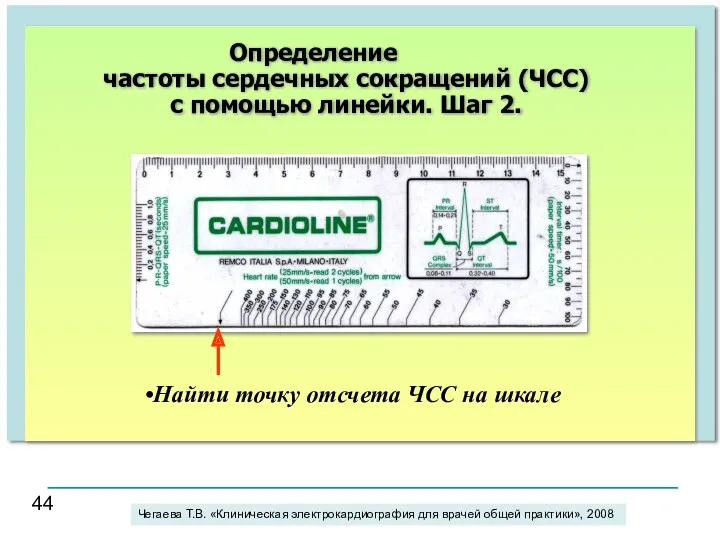 Найти точку отсчета ЧСС на шкале Определение частоты сердечных сокращений