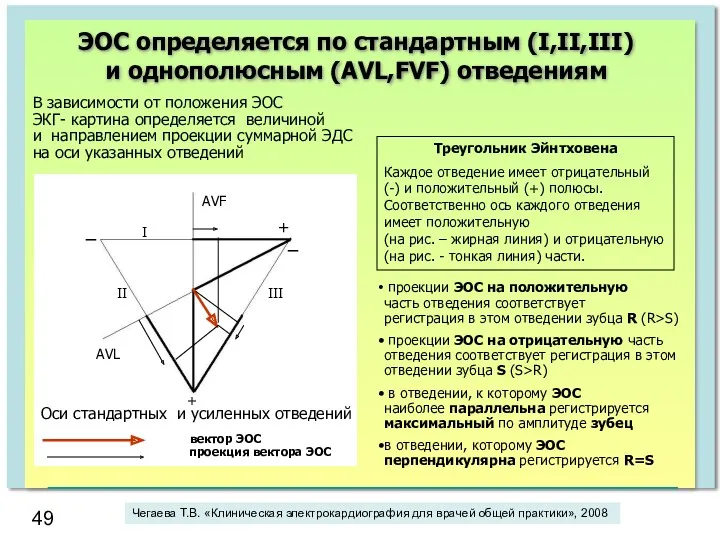 ЭОС определяется по стандартным (I,II,III) и однополюсным (AVL,FVF) отведениям В