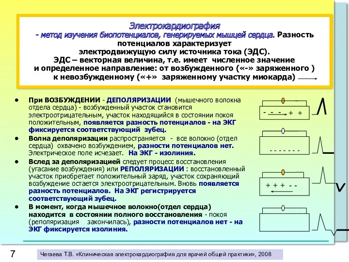 Электрокардиография - метод изучения биопотенциалов, генерируемых мышцей сердца. Разность потенциалов