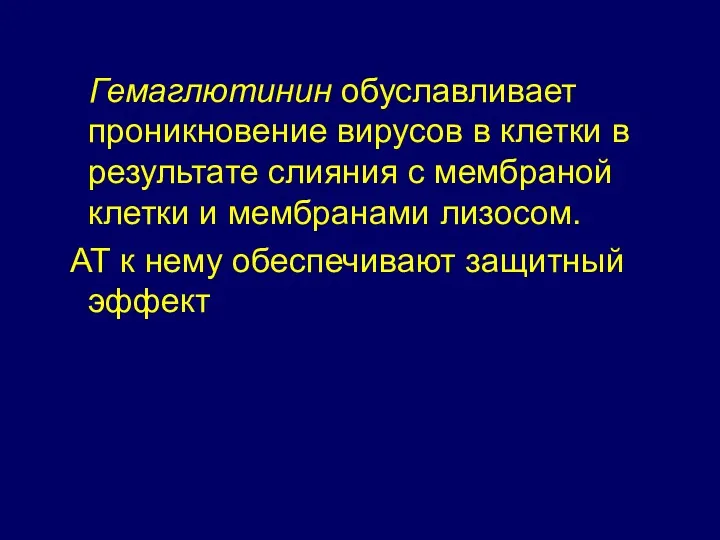 Гемаглютинин обуславливает проникновение вирусов в клетки в результате слияния с мембраной клетки и