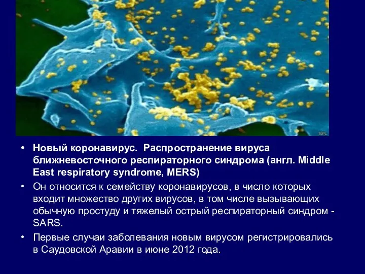 Новый коронавирус. Распространение вируса ближневосточного респираторного синдрома (англ. Middle East respiratory syndrome, MERS)