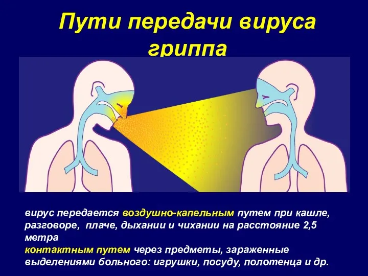 Пути передачи вируса гриппа вирус передается воздушно-капельным путем при кашле, разговоре, плаче, дыхании