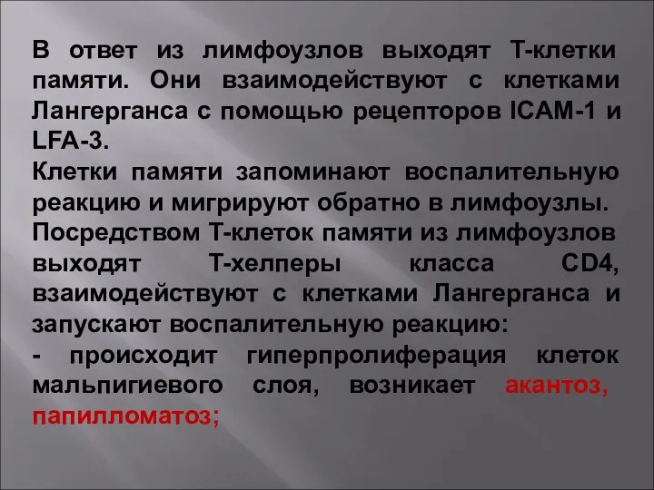 В ответ из лимфоузлов выходят T-клетки памяти. Они взаимодействуют с