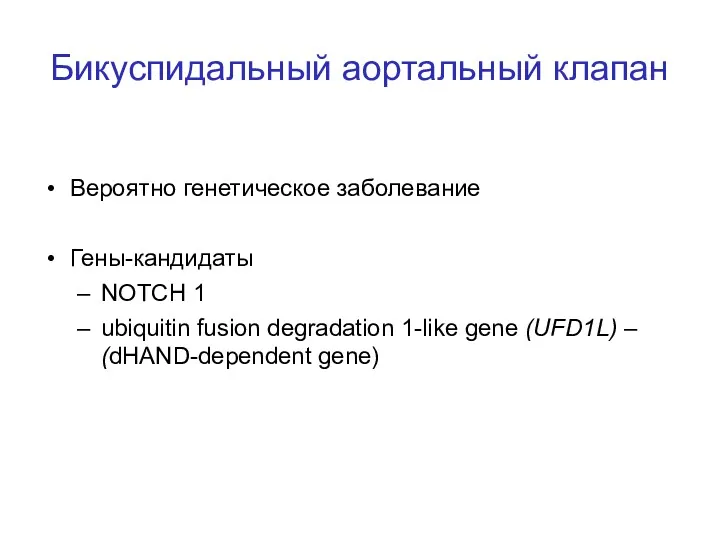 Бикуспидальный аортальный клапан Вероятно генетическое заболевание Гены-кандидаты NOTCH 1 ubiquitin