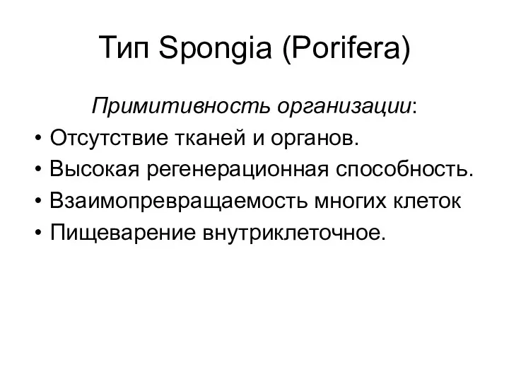 Тип Spongia (Porifera) Примитивность организации: Отсутствие тканей и органов. Высокая