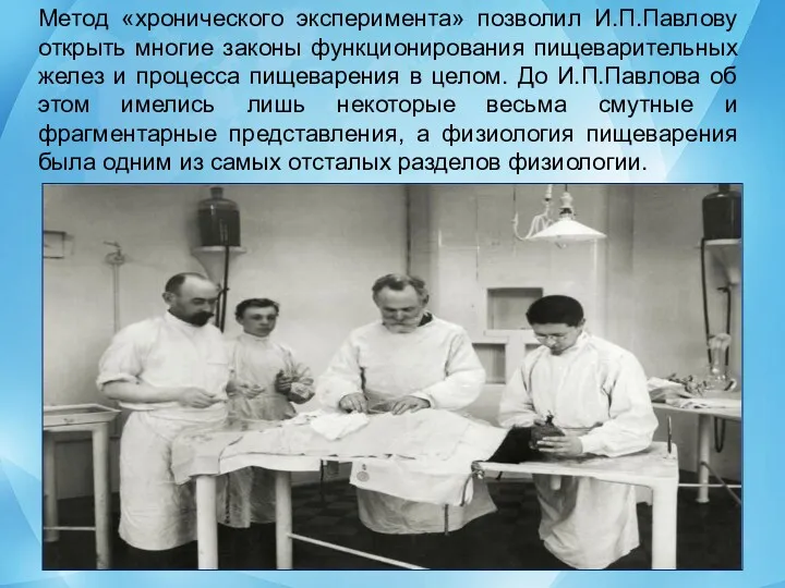 Метод «хронического эксперимента» позволил И.П.Павлову открыть многие законы функционирования пищеварительных