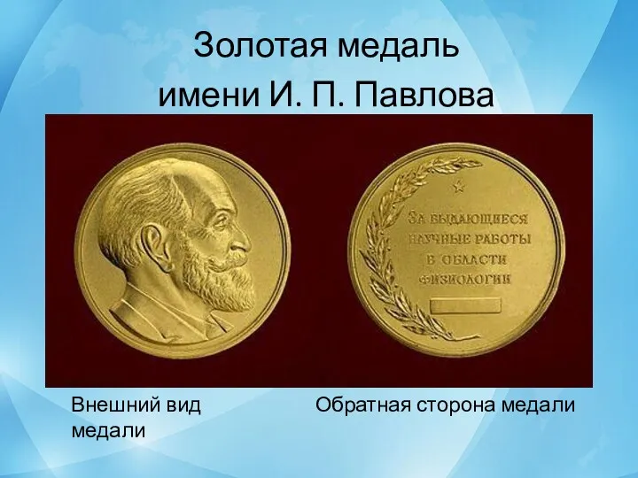 Золотая медаль имени И. П. Павлова Обратная сторона медали Внешний вид медали
