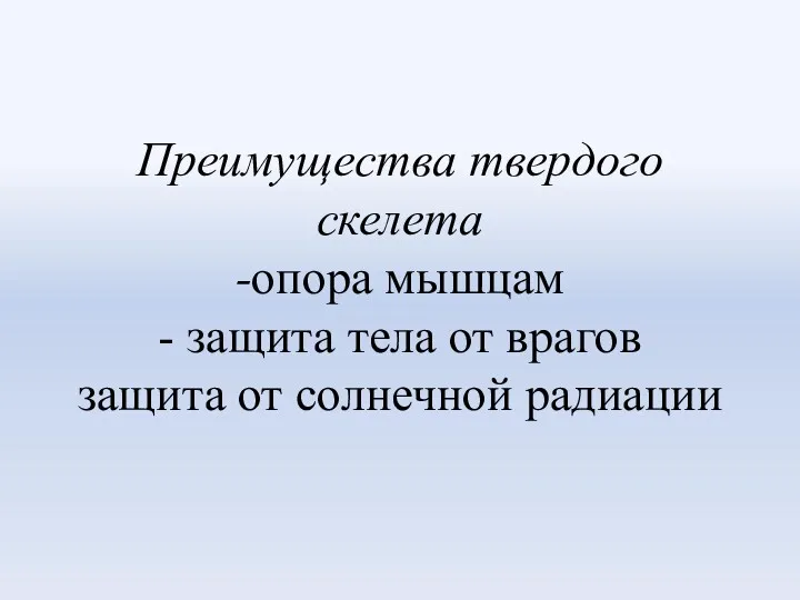 Преимущества твердого скелета -опора мышцам - защита тела от врагов защита от солнечной радиации