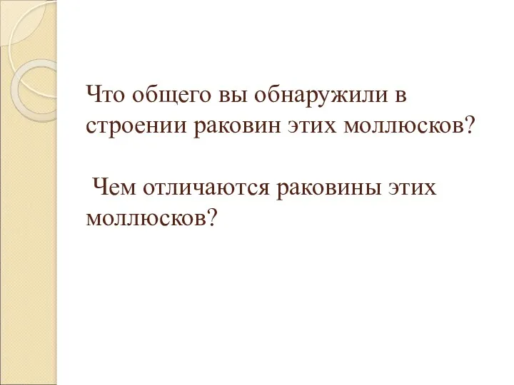 Что общего вы обнаружили в строении раковин этих моллюсков? Чем отличаются раковины этих моллюсков?