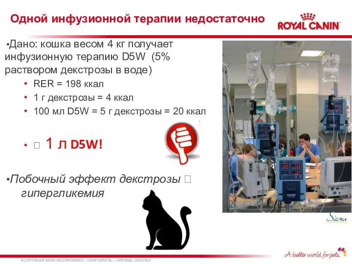 Одной инфузионной терапии недостаточно Дано: кошка весом 4 кг получает