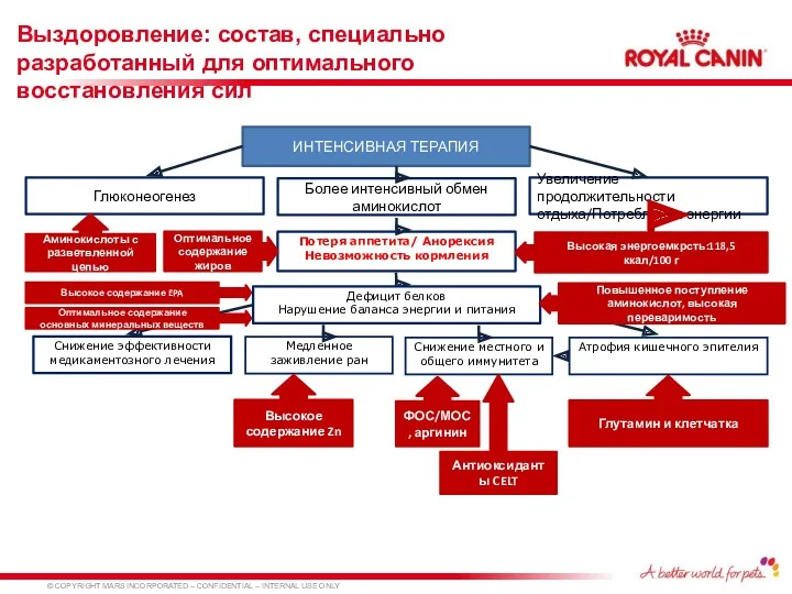 Выздоровление: состав, специально разработанный для оптимального восстановления сил ИНТЕНСИВНАЯ ТЕРАПИЯ