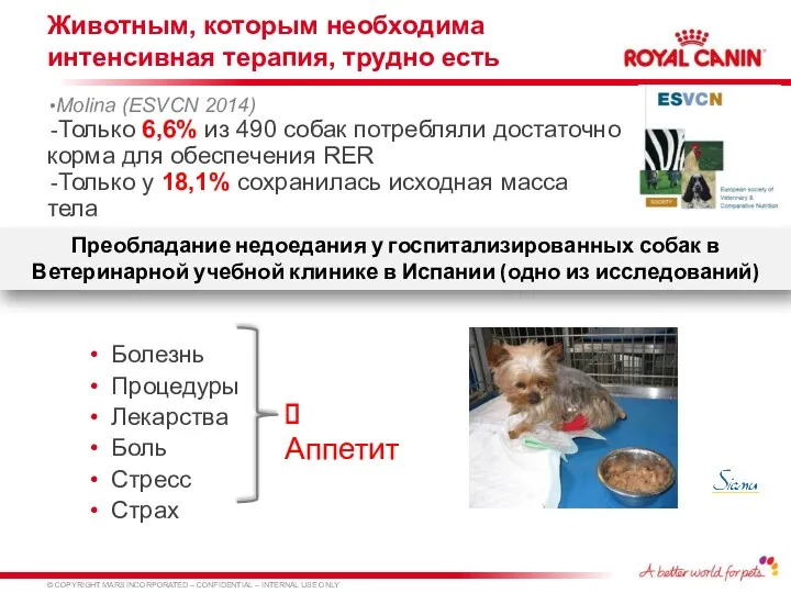 Животным, которым необходима интенсивная терапия, трудно есть Molina (ESVCN 2014)