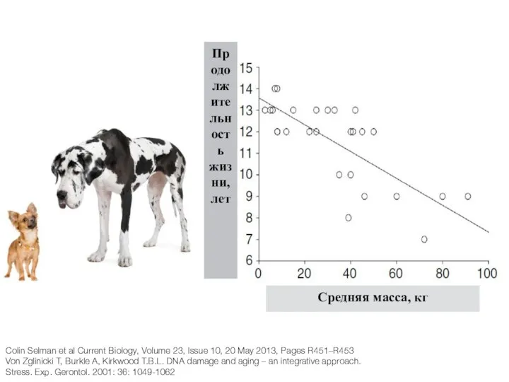 Colin Selman et al Current Biology, Volume 23, Issue 10,