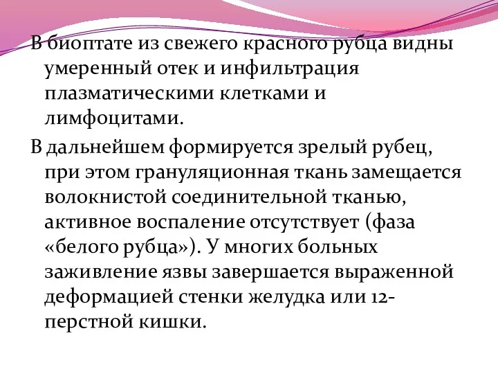 В биоптате из свежего красного рубца видны умеренный отек и