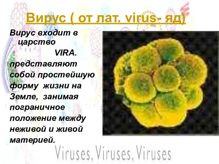 Вирус ( от лат. virus- яд) Вирус входит в царство