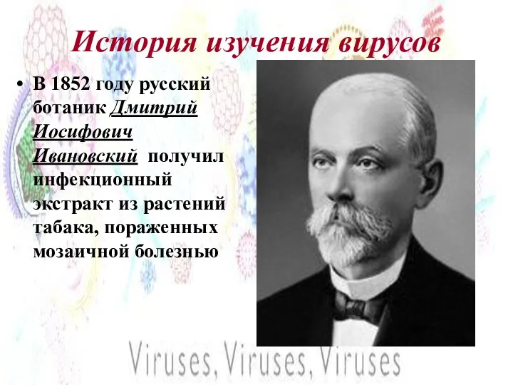 История изучения вирусов В 1852 году русский ботаник Дмитрий Иосифович