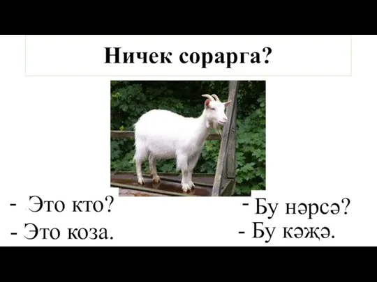 Ничек сорарга? … - Это коза. Это кто? … - Бу кәҗә. Бу нәрсә?