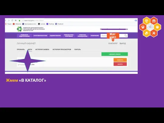 Навигатор дополнительного образования Жмем «В КАТАЛОГ» здесь Жать