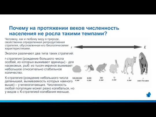 Человеку, как и любому виду в природе, свойственна определенная репродуктивная