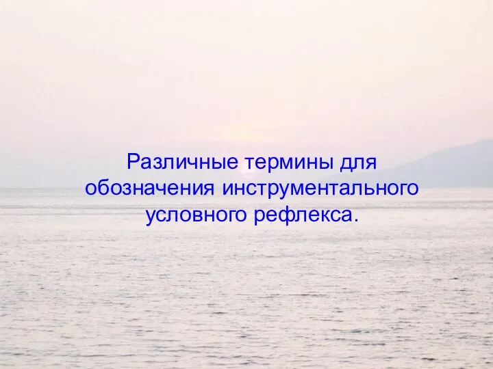 Различные термины для обозначения инструментального условного рефлекса.