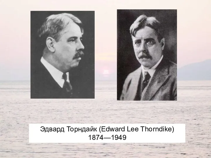 Эдвард Торндайк (Edward Lee Thorndike) 1874—1949