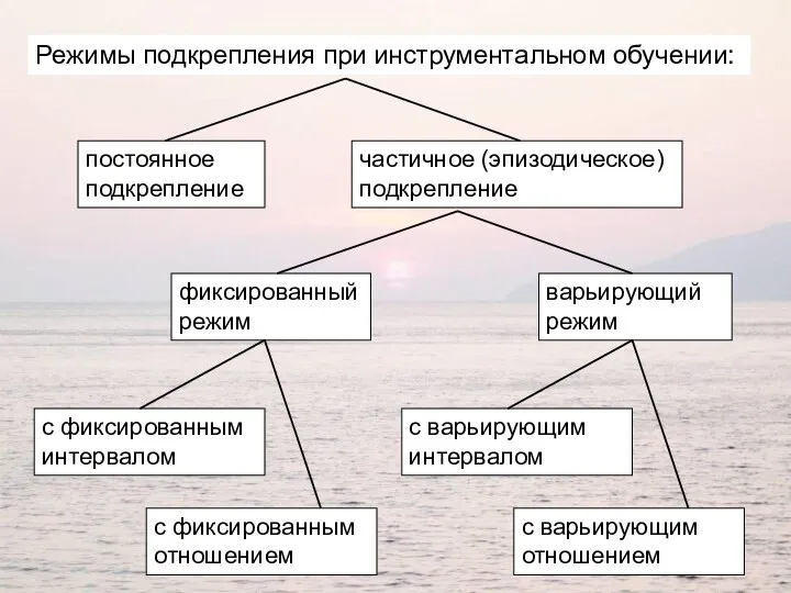 Режимы подкрепления при инструментальном обучении: постоянное подкрепление частичное (эпизодическое) подкрепление