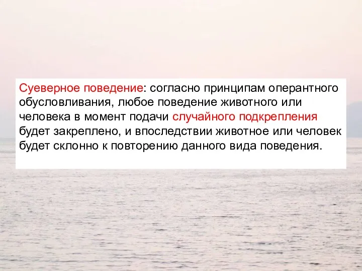 Суеверное поведение: согласно принципам оперантного обусловливания, любое поведение животного или