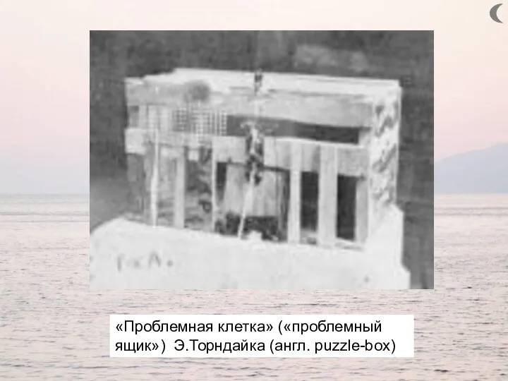 «Проблемная клетка» («проблемный ящик») Э.Торндайка (англ. puzzle-box)