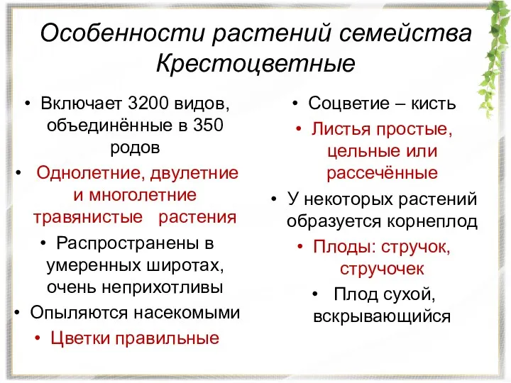 Особенности растений семейства Крестоцветные Включает 3200 видов, объединённые в 350