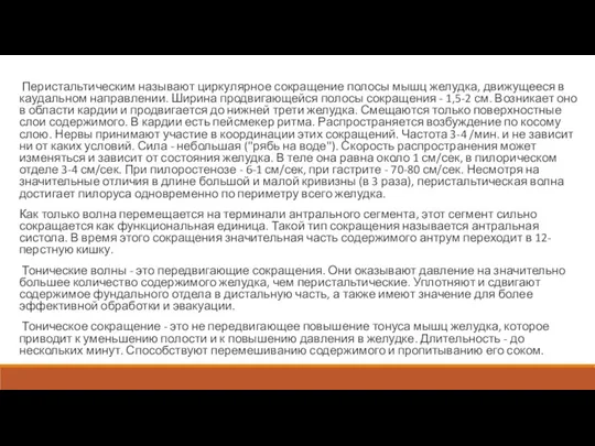 Перистальтическим называют циркулярное сокращение полосы мышц желудка, движущееся в каудальном