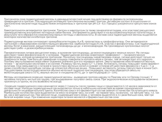 Трипсиноген сока поджелудочной железы в двенадцатиперстной кишке под действием ее
