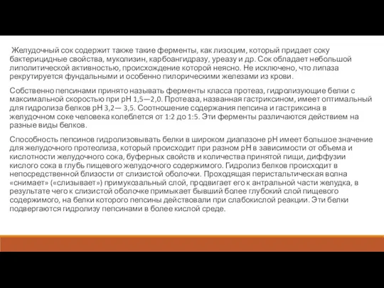 Желудочный сок содержит также такие ферменты, как лизоцим, который придает