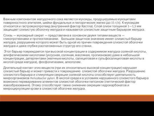 Важным компонентом желудочного сока являются мукоиды, продуцируемые мукоцитами поверхностного эпителия,