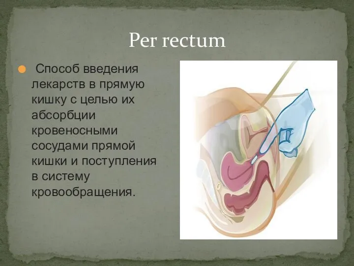 Per rectum Способ введения лекарств в прямую кишку с целью