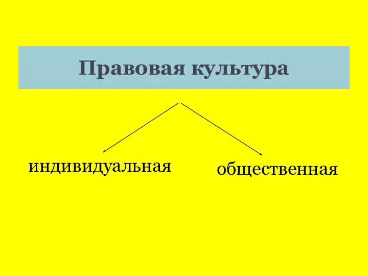 Правовая культура индивидуальная общественная