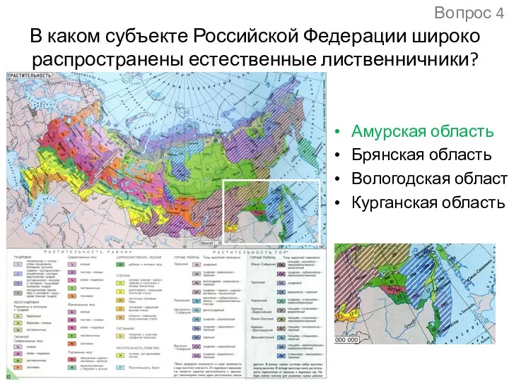В каком субъекте Российской Федерации широко распространены естественные лиственничники? Амурская