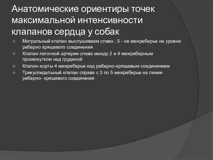 Анатомические ориентиры точек максимальной интенсивности клапанов сердца у собак Митральный