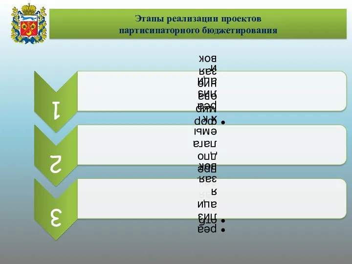 Этапы реализации проектов партисипаторного бюджетирования