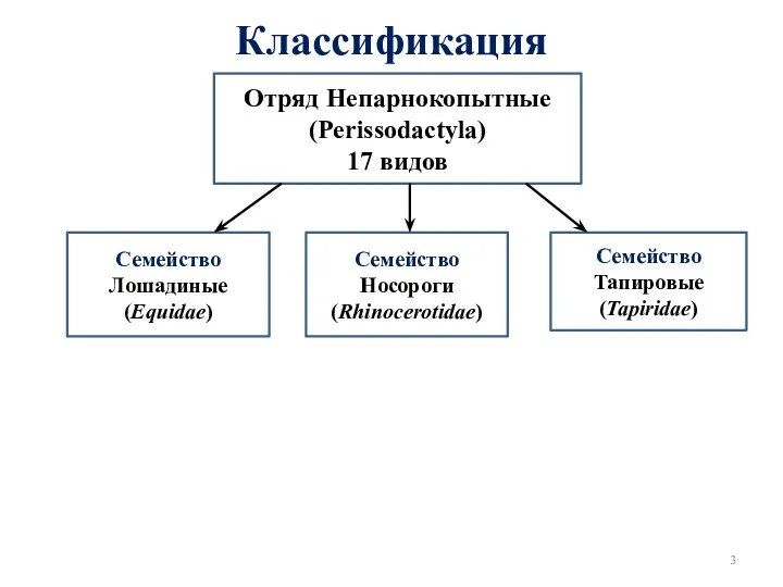 Классификация Отряд Непарнокопытные (Perissodactyla) 17 видов Семейство Лошадиные (Equidae) Семейство Тапировые (Tapiridae) Семейство Носороги (Rhinocerotidae)