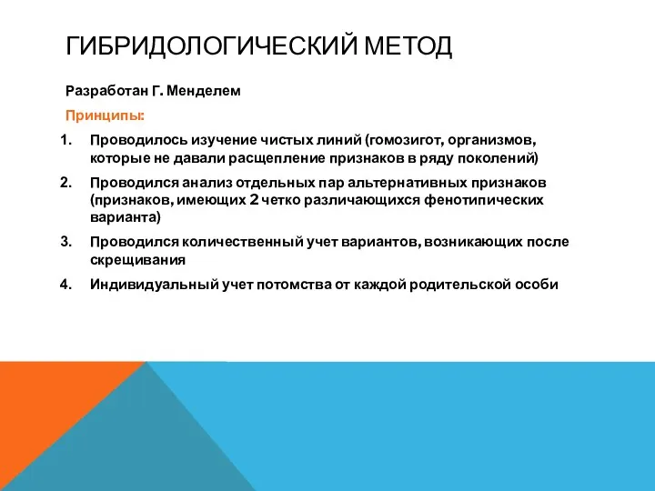 ГИБРИДОЛОГИЧЕСКИЙ МЕТОД Разработан Г. Менделем Принципы: Проводилось изучение чистых линий