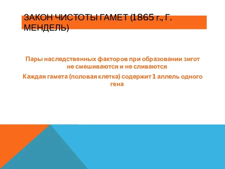 ЗАКОН ЧИСТОТЫ ГАМЕТ (1865 г., Г.МЕНДЕЛЬ) Пары наследственных факторов при